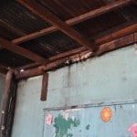 ceiling leaking web ceiling leaking web