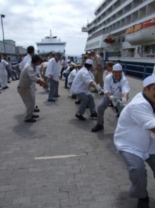 kitchen-team-web-224x3001