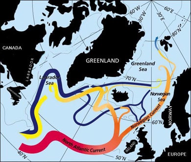 A minor branch of the Gulf Stream doubles back to under Iceland.