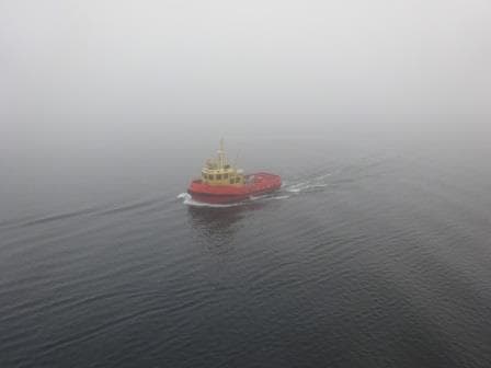 That is as far as visibility went. The pilot boat at 15 meters away and it was worse on the anchorage.